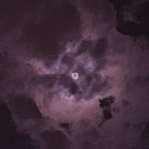 不知火舞裸露双奶头让人❌小说
